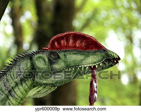 Dilophosaurus wetherilli with a piece of flesh hanging out of its mouth. View Large Illustration Stock Illustration - Dilophosaurus wetherilli with a piece of flesh hanging out of its mouth.. Fotosearch
