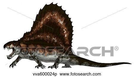 Dimetrodon, a synapsid that was an apex pradator. View Large Illustration Stock Illustration - Dimetrodon, a synapsid that was an apex pradator.. Fotosearch