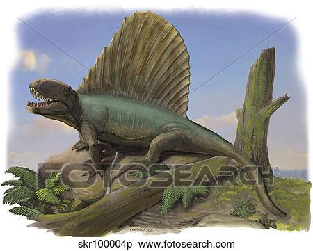 Dimetrodon limbatus, a prehistoric animal. View Large Illustration Stock Illustration - Dimetrodon limbatus, a prehistoric animal.. Fotosearch