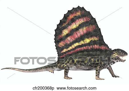 Stock Illustration - Dimetrodon reptile from the Permian period.. Fotosearch