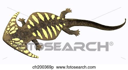 Stock Illustration - Diplocaulus amphibian from the prehistoric era.. Fotosearch