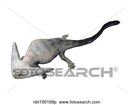 Diplocaulus is an extinct lepospondyl from the Paleozoic Era. View Large Illustration Stock Illustration - Diplocaulus is an extinct lepospondyl from the Paleozoic Era.. Fotosearch