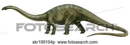 Diplodocus, a prehistoric era dinosaur. View Large Illustration Stock Illustration - Diplodocus, a prehistoric era dinosaur.. Fotosearch