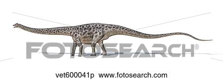 Diplodocus dinosaur on white background. View Large Illustration Stock Illustration - Diplodocus dinosaur on white background.. Fotosearch