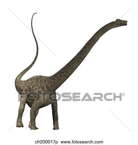 Diplodocus dinosaur. View Large Illustration Stock Illustration - Diplodocus dinosaur.. Fotosearch