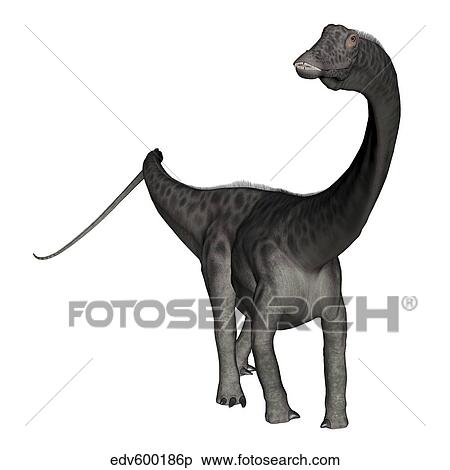 Diplodocus dinosaur. View Large Illustration Stock Illustration - Diplodocus dinosaur.. Fotosearch