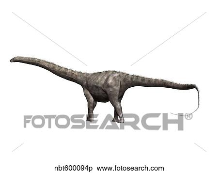 Diplodocus dinosaur. View Large Illustration Stock Illustration - Diplodocus dinosaur.. Fotosearch