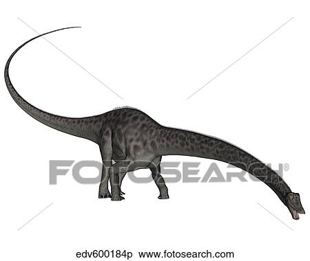 Diplodocus dinosaur with head down. View Large Illustration Stock Illustration - Diplodocus dinosaur with head down.. Fotosearch