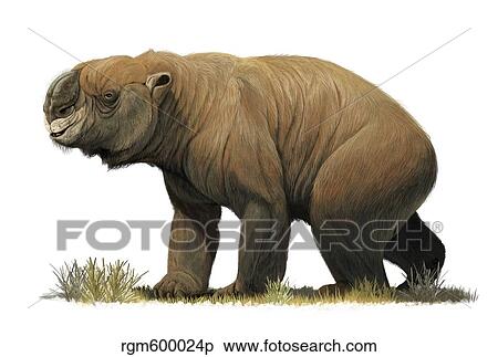 Stock Illustration - Diprotodon optatum, the largest known marsupial.. Fotosearch