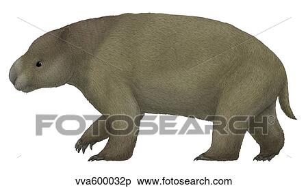 Diprotodon, the largest know marsupial. View Large Illustration Stock Illustration - Diprotodon, the largest know marsupial.. Fotosearch