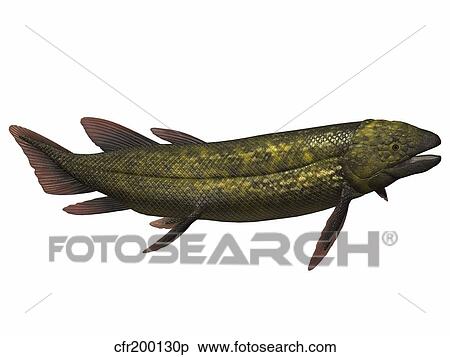 Dipterus, an extinct genus of freshwater lungfish. View Large Illustration Stock Illustration - Dipterus, an extinct genus of freshwater lungfish.. Fotosearch