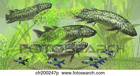 Stock Illustration - Dipterus is an extinct freshwater lungfish from the Devonian Period.. Fotosearch