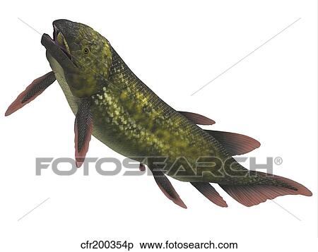 Dipterus is an extinct freshwater lungfish. View Large Illustration Stock Illustration - Dipterus is an extinct freshwater lungfish.. Fotosearch