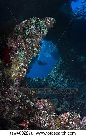 Diver at Boo Windows in Raja Ampat, Indonesia. View Large Photo Image Stock Photograph - Diver at Boo Windows in Raja Ampat, Indonesia.. Fotosearch