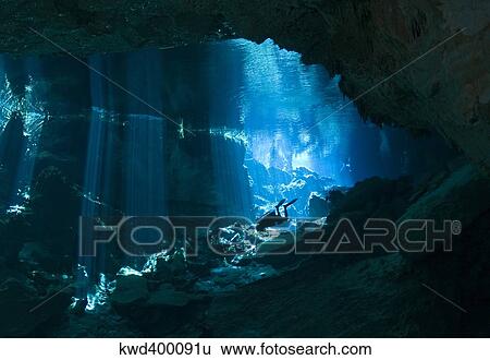 Diver enters the cavern system in the Riviera Maya area of Mexico. View Large Photo Image Stock Photograph - Diver enters the cavern system in the Riviera Maya area of Mexico.. Fotosearch