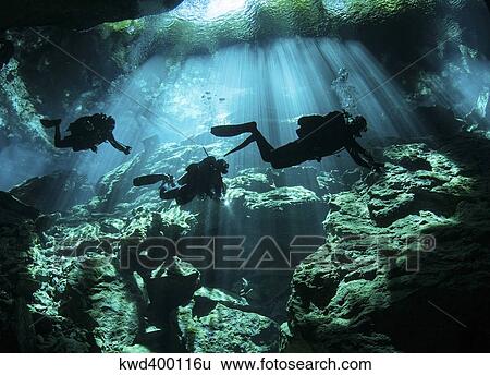 Stock Photograph - Diver enters the cavern system in the Riviera Maya area of Mexico.. Fotosearch