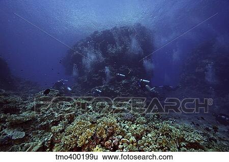 Divers explore Beqa Lagoons beautiful coral reefs, Fiji. View Large Photo Image Stock Photograph - Divers explore Beqa Lagoons beautiful coral reefs, Fiji.. Fotosearch