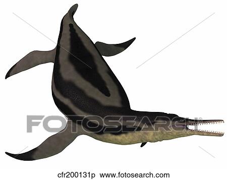 Dolichorhynchops, an extinct genus of short-neck Plesiosaur. View Large Illustration Stock Illustration - Dolichorhynchops, an extinct genus of short-neck Plesiosaur.. Fotosearch