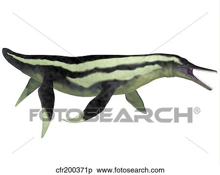 Dolichorhynchops marine reptile from the prehistoric era. View Large Illustration Stock Illustration - Dolichorhynchops marine reptile from the prehistoric era.. Fotosearch