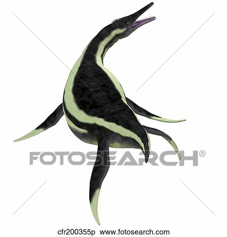 Dolichorhynchops marine reptile. View Large Illustration Stock Illustration - Dolichorhynchops marine reptile.. Fotosearch