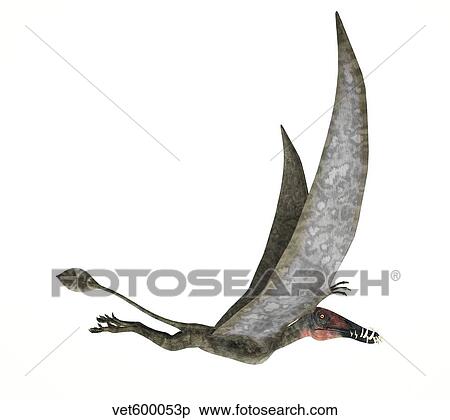 Dorygnathus flying dinosaur. View Large Illustration Stock Illustration - Dorygnathus flying dinosaur.. Fotosearch