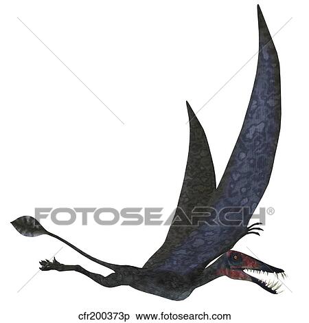 Dorygnathus pterosaur from the Jurassic Period. View Large Illustration Stock Illustration - Dorygnathus pterosaur from the Jurassic Period.. Fotosearch