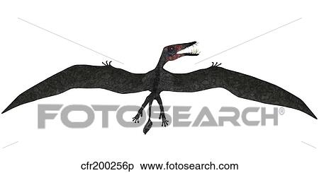 Dorygnathus was a pterosaur that lived iduring the Jurassic period. View Large Illustration Stock Illustration - Dorygnathus was a pterosaur that lived iduring the Jurassic period.. Fotosearch