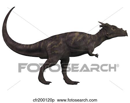 Stock Illustration - Dracorex, a herbivorous dinosaur from the Cretaceous period.. Fotosearch