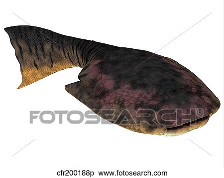Drepanaspis is an extinct species of primitive jawless fish. View Large Illustration Stock Illustration - Drepanaspis is an extinct species of primitive jawless fish.. Fotosearch