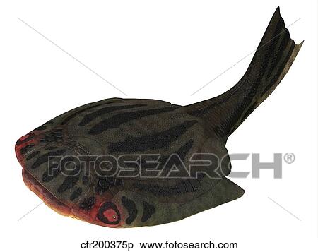 Drepanaspis jawless fish from the Devonian Period. View Large Illustration Stock Illustration - Drepanaspis jawless fish from the Devonian Period.. Fotosearch