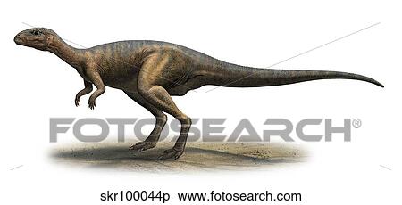 Dryosaurus altus, prehistoric era dinosaur. View Large Illustration Stock Illustration - Dryosaurus altus, prehistoric era dinosaur.. Fotosearch