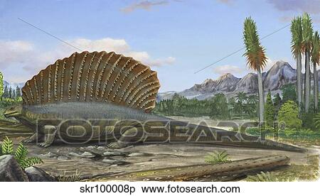 Edaphosaurus pogonias, a prehistoric animal from the Paleozoic Era. View Large Illustration Stock Illustration - Edaphosaurus pogonias, a prehistoric animal from the Paleozoic Era.. Fotosearch