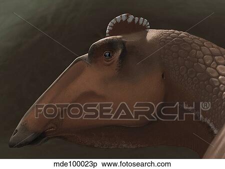 Edmontosaurus regalis dinosaur portrait. View Large Illustration Stock Illustration - Edmontosaurus regalis dinosaur portrait.. Fotosearch