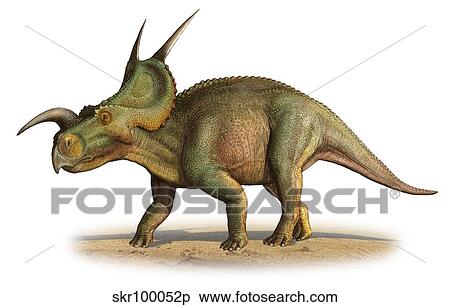 Stock Illustration - Einiosaurus procurvicornis, a prehistoric era.. Fotosearch