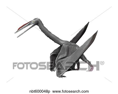 Elanodactylus prolatus, Early Cretaceous of China. View Large Illustration Stock Illustration - Elanodactylus prolatus, Early Cretaceous of China.. Fotosearch