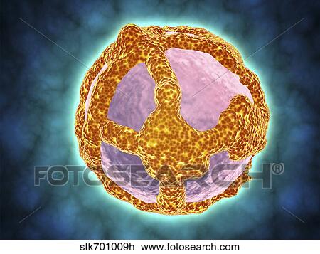 Drawing - Electron micrograph of negative-stained Prochlorococcus.. Fotosearch