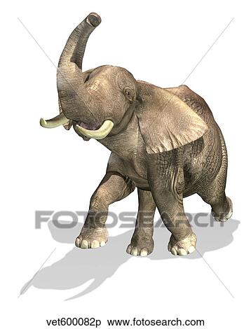 Stock Illustration - Elephant on white background with drop shadow.. Fotosearch