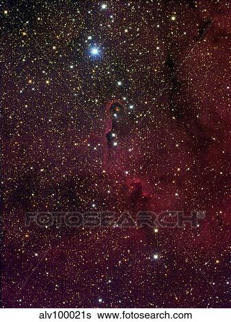 Elephant's trunk nebula inside IC 1396. View Large Photo Image Stock Photograph - Elephant's trunk nebula inside IC 1396.. Fotosearch