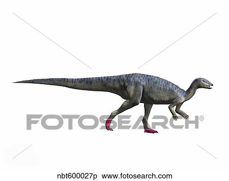 Elrhazosaurus nigeriensis, Early Cretaceous of Niger. View Large Illustration Stock Illustration - Elrhazosaurus nigeriensis, Early Cretaceous of Niger.. Fotosearch
