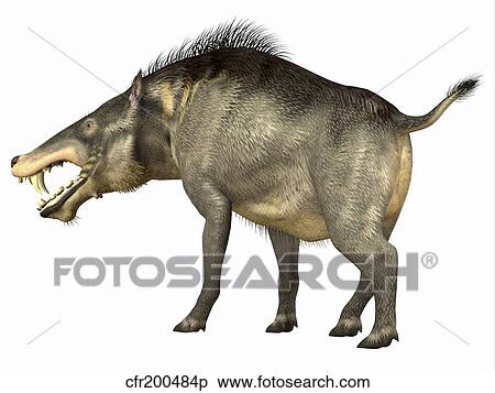 Entelodon, white background. View Large Illustration Stock Illustration - Entelodon, white background.. Fotosearch