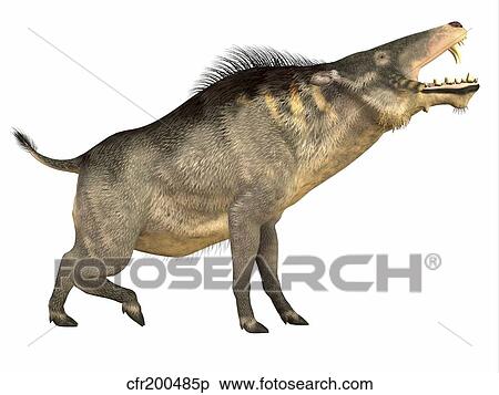 Stock Illustration - Entelodon, white background.. Fotosearch
