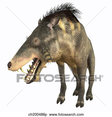 Stock Illustration - Entelodon, white background.. Fotosearch