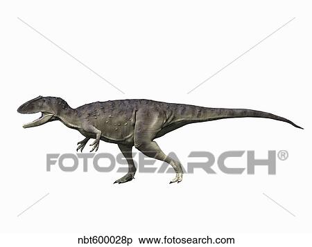 Eocarcharia dinops, Early Cretaceous of Niger. View Large Illustration Stock Illustration - Eocarcharia dinops, Early Cretaceous of Niger.. Fotosearch