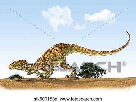 Eoraptor, an early dinosaur that lived during the late Triassic Period. View Large Illustration Stock Illustration - Eoraptor, an early dinosaur that lived during the late Triassic Period.. Fotosearch