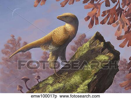 Eosinopteryx brevipenna perched on a tree branch. View Large Illustration Stock Illustration - Eosinopteryx brevipenna perched on a tree branch.. Fotosearch