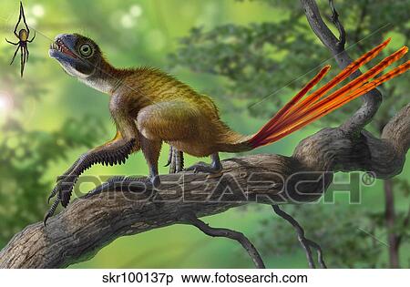 Epidexipteryx perched on a branch ready to eat a nearby spider. View Large Illustration Stock Illustration - Epidexipteryx perched on a branch ready to eat a nearby spider.. Fotosearch