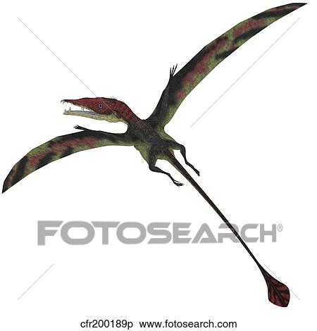 Eudimorphodon, a pterosuar from the Late Triassic Period. View Large Illustration Stock Illustration - Eudimorphodon, a pterosuar from the Late Triassic Period.. Fotosearch