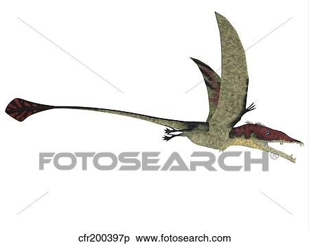 Eudimorphodon is a flying reptile that lived during the Triassic period. View Large Illustration Stock Illustration - Eudimorphodon is a flying reptile that lived during the Triassic period.. Fotosearch