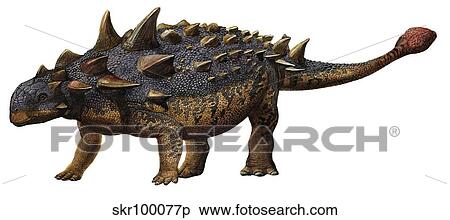 Euoplocephalus tutus, a prehistoric era dinosaur. View Large Illustration Stock Illustration - Euoplocephalus tutus, a prehistoric era dinosaur.. Fotosearch