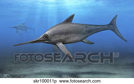 Eurhinosaurus longirostris swimming in prehistoric waters. View Large Illustration Stock Illustration - Eurhinosaurus longirostris swimming in prehistoric waters.. Fotosearch